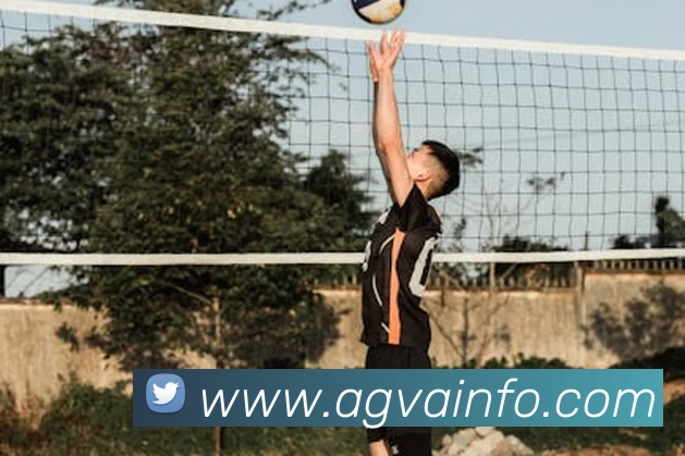 奖项证书